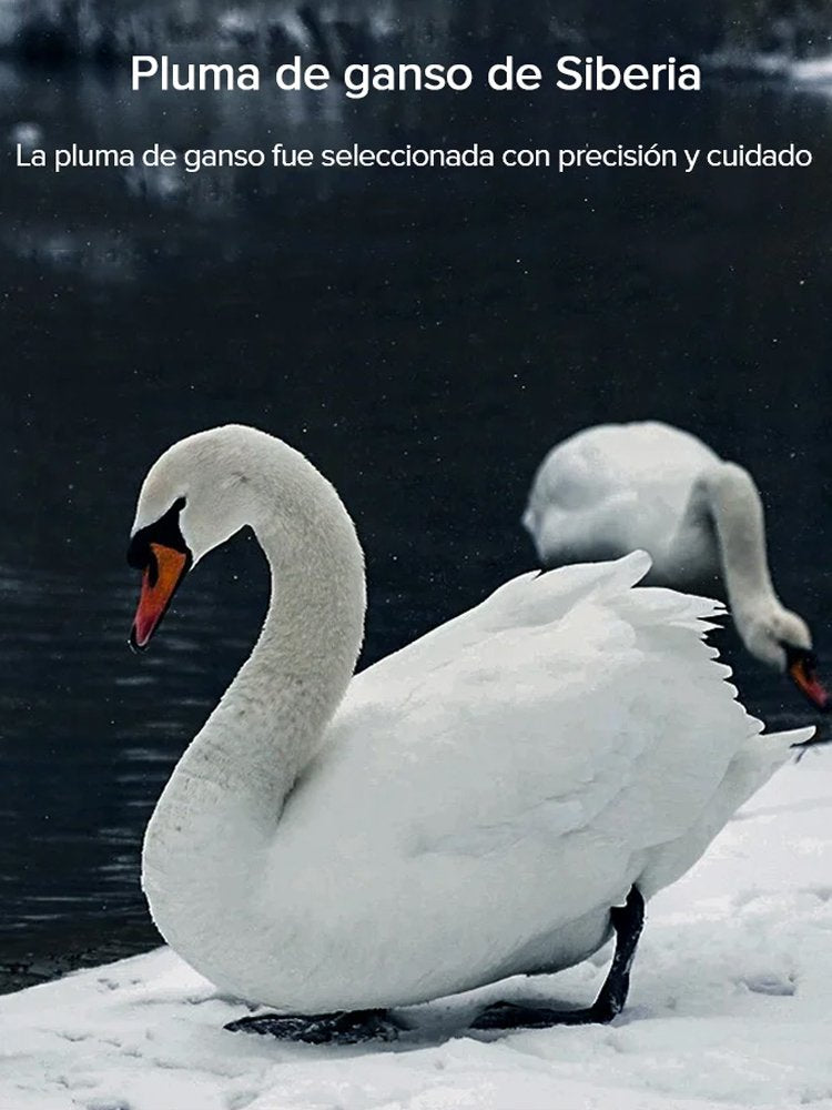 Diseño integrado de zona cómoda para dormir almohada de plumas de ganso - Color azul