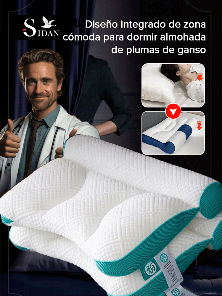 Diseño integrado de zona cómoda para dormir almohada de plumas de ganso - Color azul